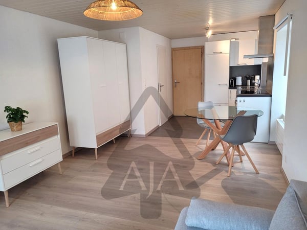 Couvet, belle maison familiale de 4 appartements avec jardins et terrasses au Centre-Nord du Village 12