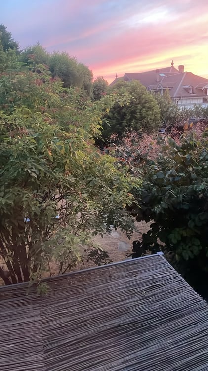 Cudrefin (à deux pas du Lac), très belle villa mitoyenne de 5,5 pièces avec jardin 19
