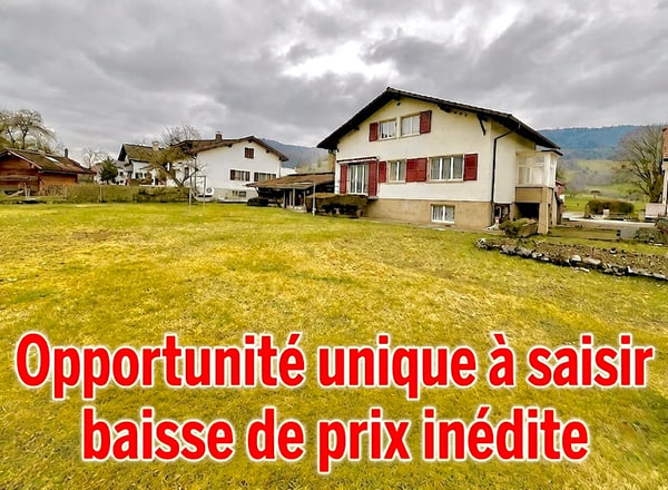 Opportunité unique à saisir : baisse de prix inédite. 1