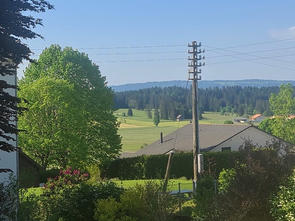 NOUVELLE BAISSE DU PRIX DE VENTE - Magnifique villa de maître de haut standing sur grande parcelle 21
