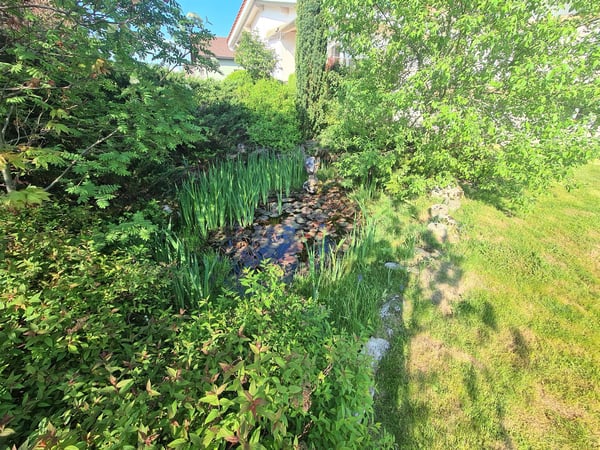 NOUVELLE BAISSE DU PRIX DE VENTE - Magnifique villa de maître de haut standing sur grande parcelle 17