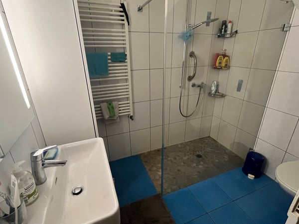 Joli immeuble à rendement bien entretenu comprenant 6 appartements, 1 atelier et 3 garages 31