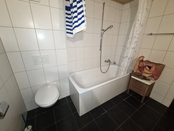 EXCEPTIONNEL ! - Magnifique ferme franc-montagnarde rénovée avec habitation et salle de spectacle 22