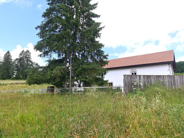 EXCEPTIONNEL ! - Magnifique ferme franc-montagnarde rénovée avec habitation et salle de spectacle 7