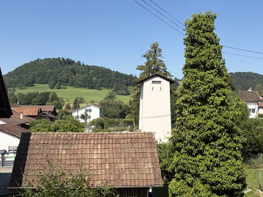 Charmante maison individuelle de 4.5 pièces à Movelier 27