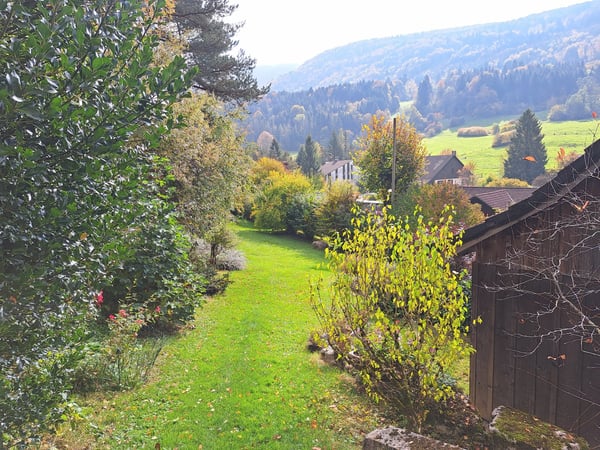 BIEN IMMOBILIER EXCEPTIONNEL - Grandiose maison villageoise de 2 appart. sur une grande parcelle 50