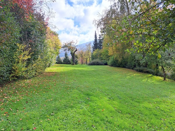 BIEN IMMOBILIER EXCEPTIONNEL - Grandiose maison villageoise de 2 appart. sur une grande parcelle 49