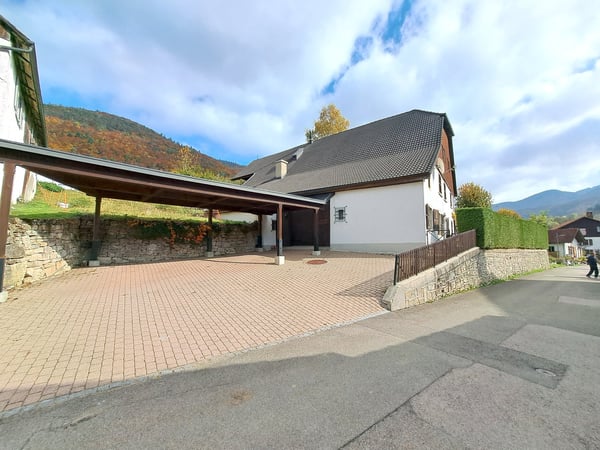 BIEN IMMOBILIER EXCEPTIONNEL - Grandiose maison villageoise de 2 appart. sur une grande parcelle 8