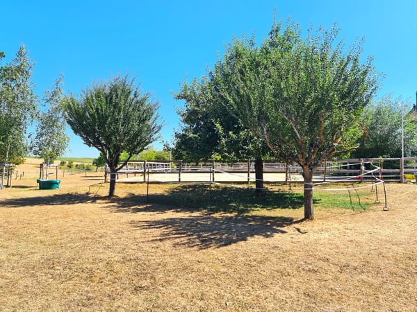 Offre exceptionnelle et très rare - Magnifique ferme villageoise totalement rénovée sur 4'385 m² 12