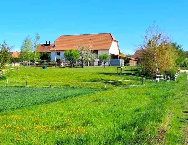 Offre exceptionnelle et très rare - Magnifique ferme villageoise totalement rénovée sur 4'385 m²