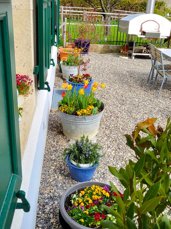 Offre exceptionnelle et très rare - Magnifique ferme villageoise totalement rénovée sur 4'385 m² 22