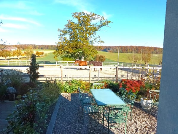 Offre exceptionnelle et très rare - Magnifique ferme villageoise totalement rénovée sur 4'385 m² 23