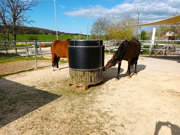 Offre exceptionnelle et très rare - Magnifique ferme villageoise totalement rénovée sur 4'385 m² 9