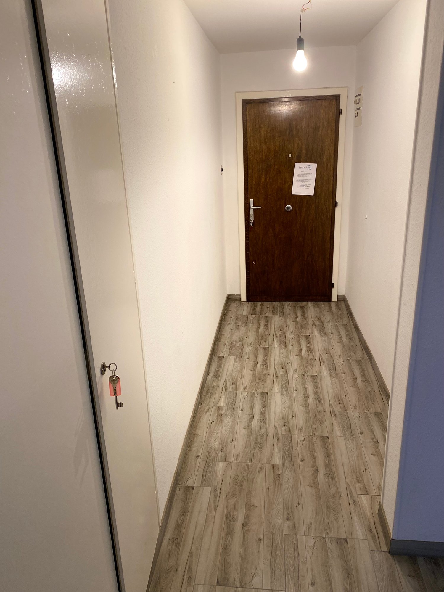 Empty hallway with wooden floor, white walls, wooden door, light bulb hanging from ceiling