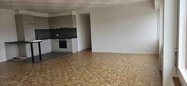 Appartement spacieux rénové cuisine neuve. Avec conciergerie 2