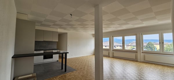 Appartement spacieux rénové cuisine neuve. Avec conciergerie 1