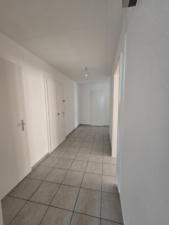 Spacieux 1 pièces avec cachet au cœur de La Chaux-de-Fonds 11