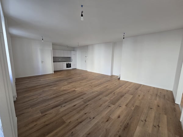 Appartement de 1 pièces lumineux à louer à La Chaux-de-Fonds 1