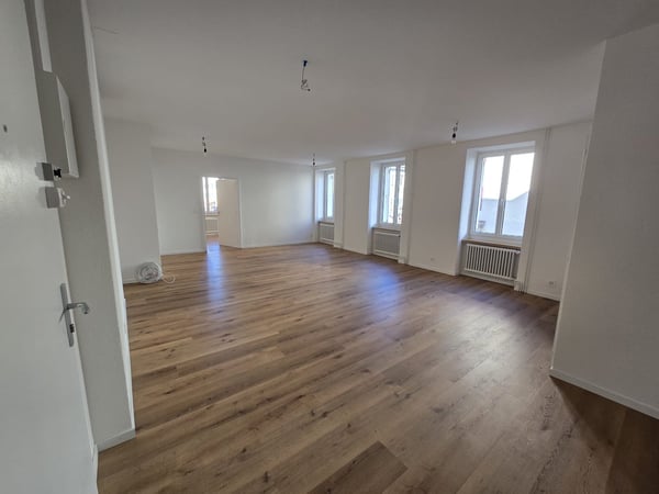 Appartement de 1 pièces lumineux à louer à La Chaux-de-Fonds 2