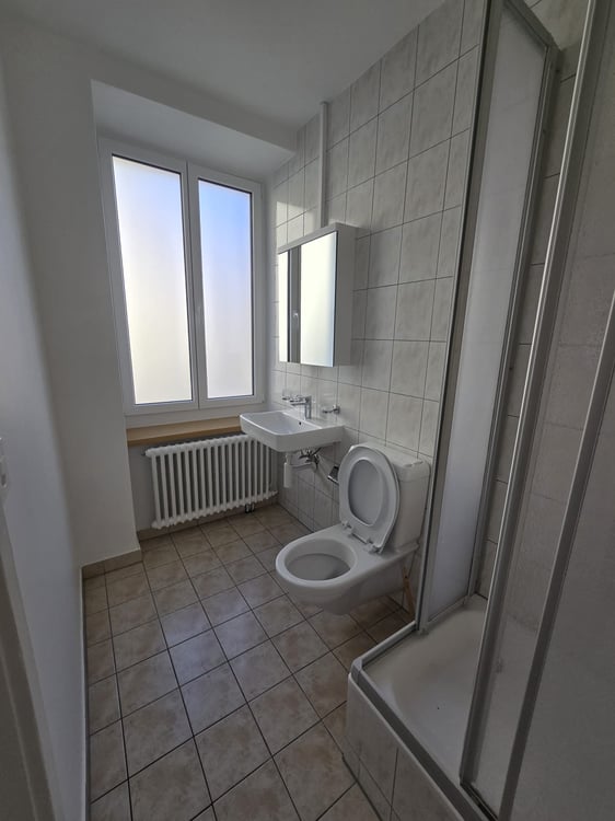 Appartement de 1 pièces lumineux à louer à La Chaux-de-Fonds 6