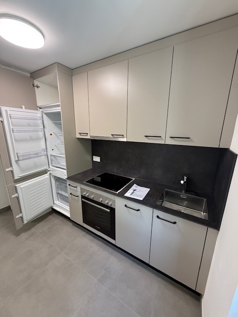 A louer - Quartier Eugène-Rambert - Appt 1.5 pièces entièrement rénové 2