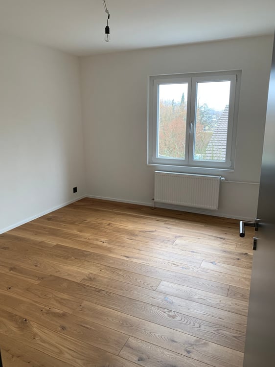 Superbe appartement de 1.5 entièrement rénové 6