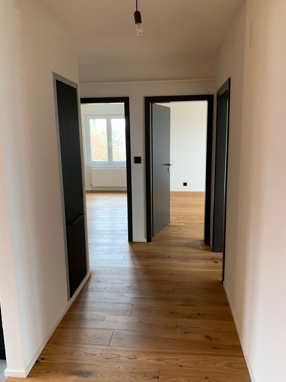 Superbe appartement de 1.5 entièrement rénové 5