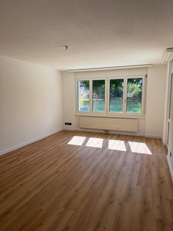 Dernier appartement de 1.5 pièces totalement rénové avec jardin 8