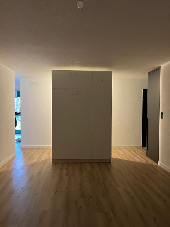 Dernier appartement de 1.5 pièces totalement rénové avec jardin 6