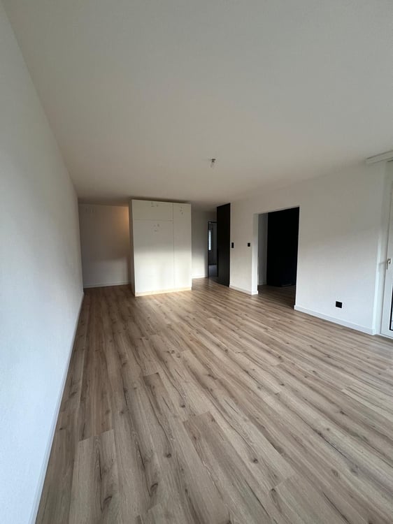 Dernier appartement de 1.5 pièces totalement rénové avec jardin 11