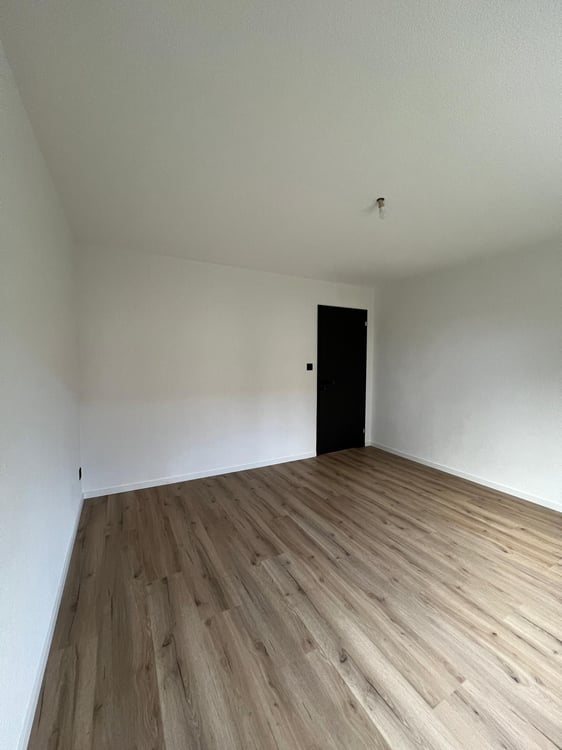 Dernier appartement de 1.5 pièces totalement rénové avec jardin 10