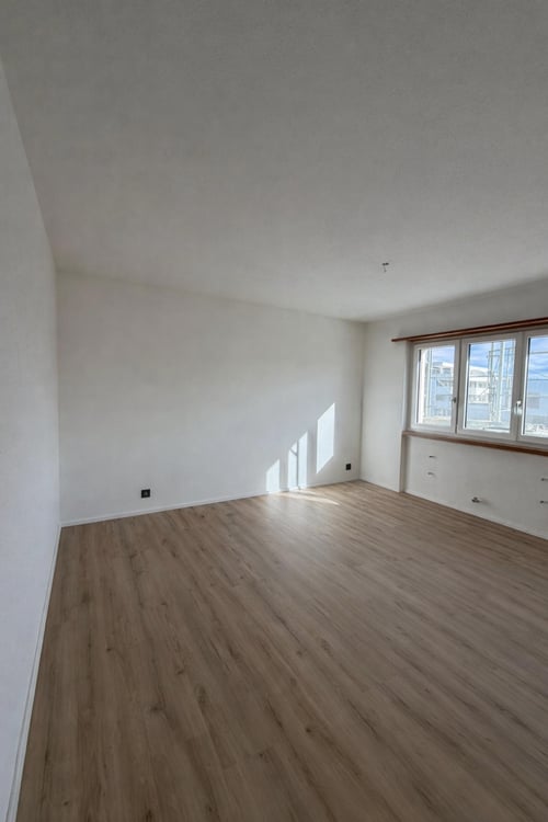 Superbe appartement de 3.5 pièces entièrement rénové au style moderne 4