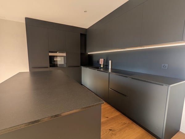 Très bel appartement 2,5 pces de haut standing 4