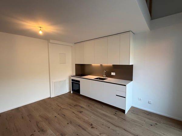 Appartement moderne avec terrasse à 3 min de l'EHL 1