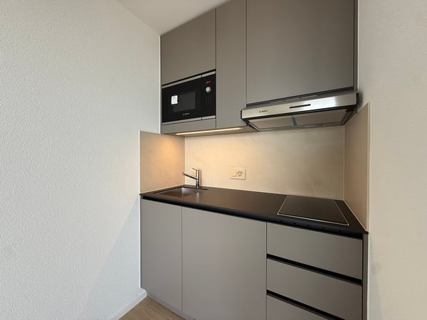 Studio lumineux et moderne avec vue sur le lac 1