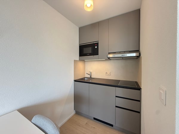 Studio meublé, lumineux et moderne 4