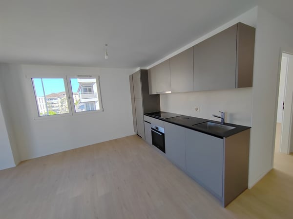 Magnifique appartement de 2.5 pièces avec vue sur le lac 2