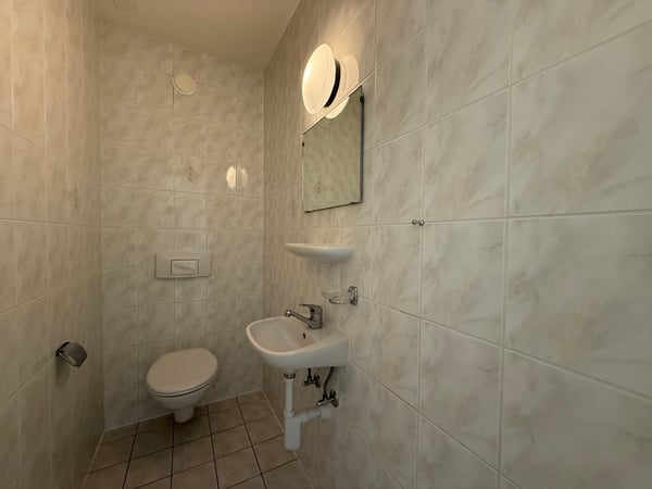 Très grand duplex de 4 pièces avec vue lac 16