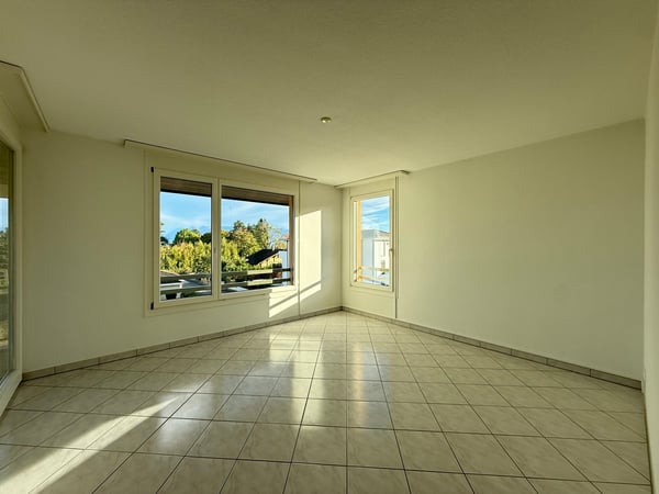 Très grand duplex de 4 pièces avec vue lac 5