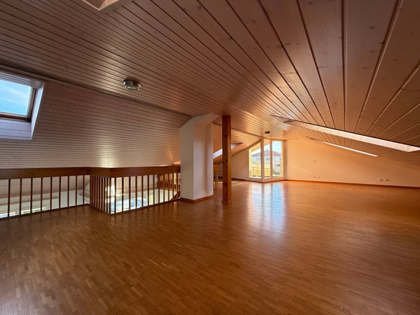 Très grand duplex de 4 pièces avec vue lac 12