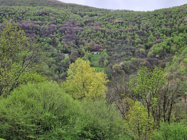 Objet Unique - maison individuelle de 5 pièces à Monteceneri 23