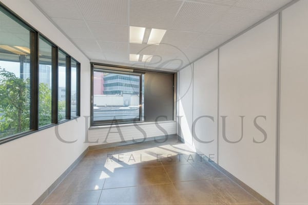 Grande surface de bureaux au 2ème étage - 320 m² - Genève Plainpalais 6