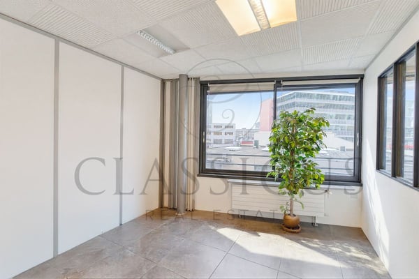Grande surface de bureaux au 2ème étage - 320 m² - Genève Plainpalais 5