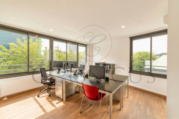 Bureaux professionnels rationnels au 2ème étage - Genève Plainpalais 6
