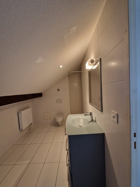 Sublime Appartement de 2.5 pièces à louer 10