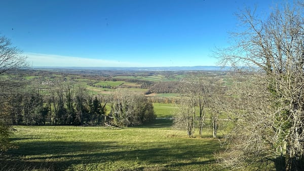 Belle maison avec chambres d'hôtes et un appartement de 2,5 pièces 13