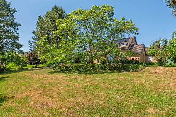 Maison d'architecte de 6.5 pièces à Porrentruy 12