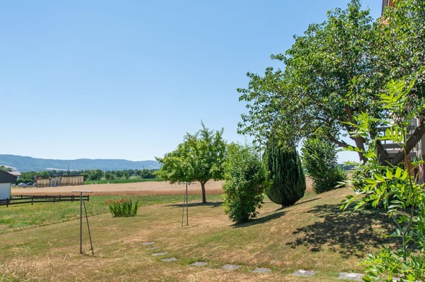 Immeuble locatif de 2 appartements à Miécourt 12