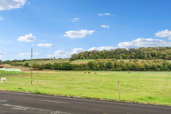 Spacieuse maison mitoyenne de 7 pièces avec espaces de travail et de stockage à Chevenez 12