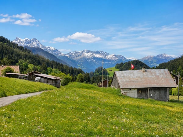 Terrain à bâtir de 1582 m² au centre des Mosses - Ormont-Dessous (VD), Alpes vaudoises 1